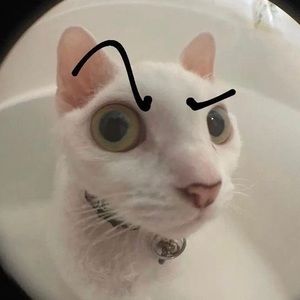 Meet your Posher, Saul